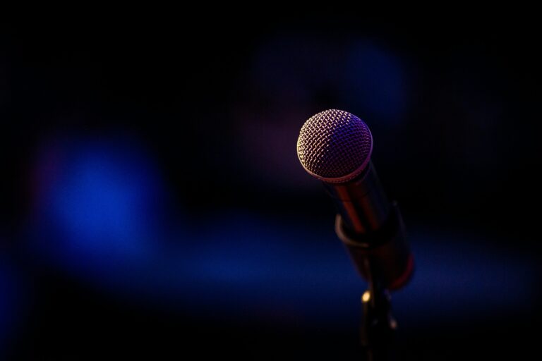 S2E4: Breaking the Glass Ceiling: Public Speaking with Bianca Bănică